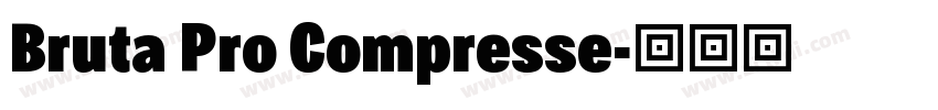 Bruta Pro Compresse字体转换